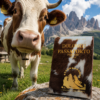 Passaporto delle Dolomiti originale Light Hunter fotografato con la Mucca tipica dei pascoli in montagna.